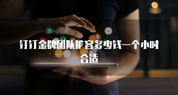 钉钉金牌团队扩容多少钱一个小时合适