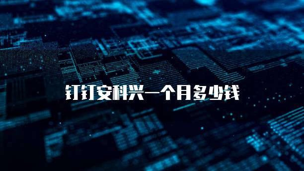 钉钉安科兴一个月多少钱