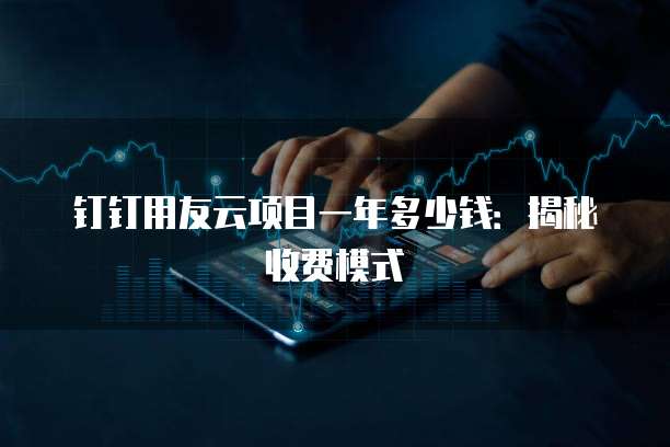 钉钉用友云项目一年多少钱：揭秘收费模式