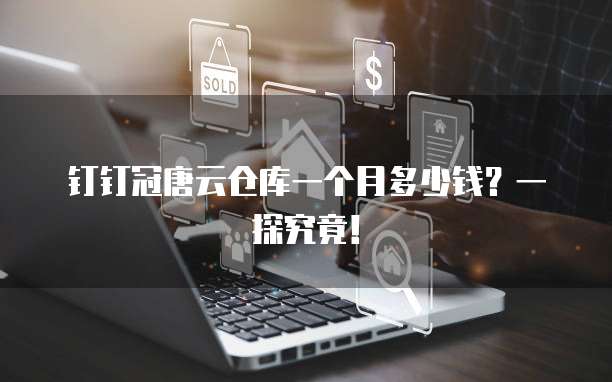 钉钉冠唐云仓库一个月多少钱?一探究竟!