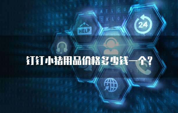 钉钉小猪用品价格多少钱一个?