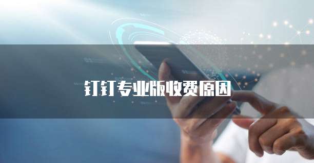 钉钉专业版收费原因