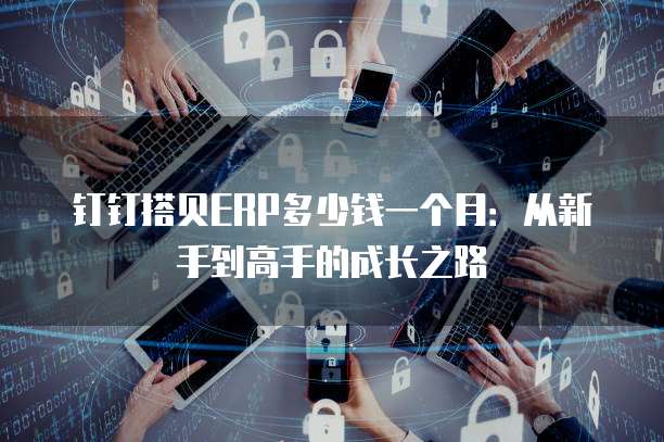 钉钉搭贝ERP多少钱一个月:从新手到高手的成长之路