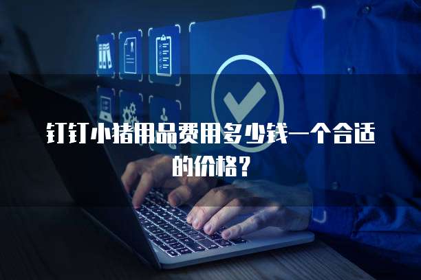钉钉小猪用品费用多少钱一个合适的价格？