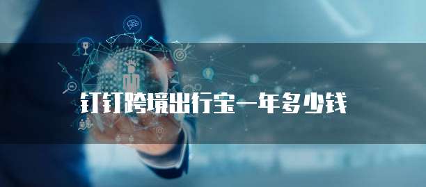 钉钉跨境出行宝一年多少钱