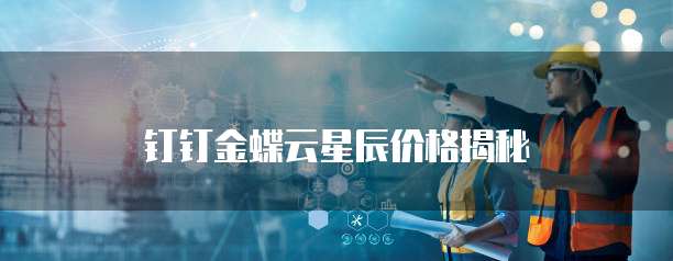 钉钉金蝶云星辰价格揭秘
