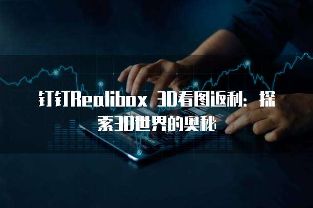 钉钉Realibox 3D看图返利:探索3D世界的奥秘
