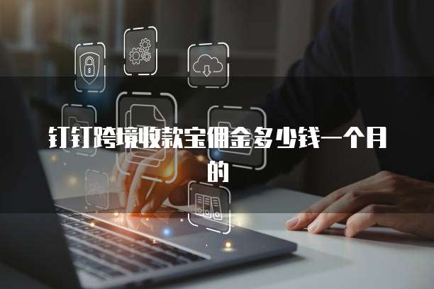 钉钉跨境收款宝佣金多少钱一个月的