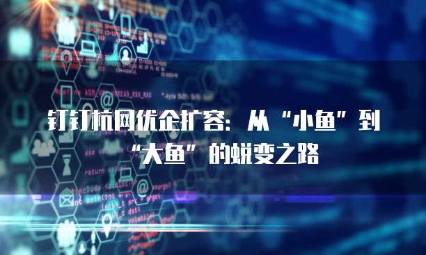 钉钉杭网优企扩容:从“小鱼”到“大鱼”的蜕变之路