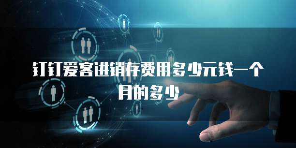 钉钉爱客进销存费用多少元钱一个月的多少