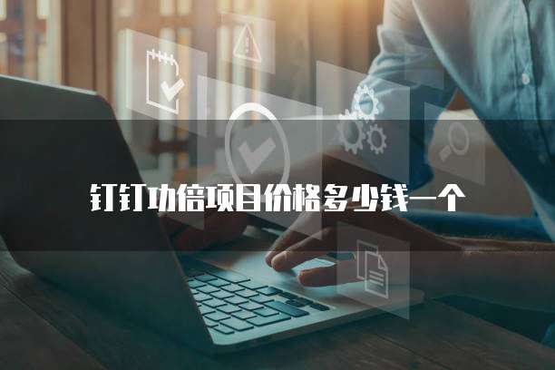 钉钉功倍项目价格多少钱一个