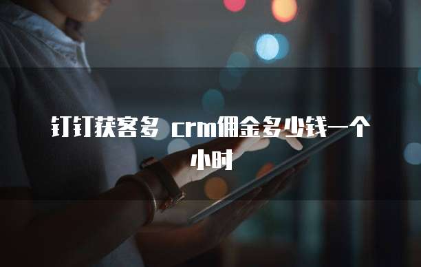 钉钉获客多 crm佣金多少钱一个小时
