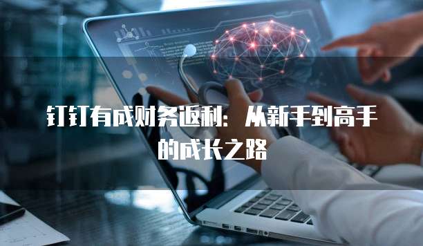 钉钉有成财务返利:从新手到高手的成长之路