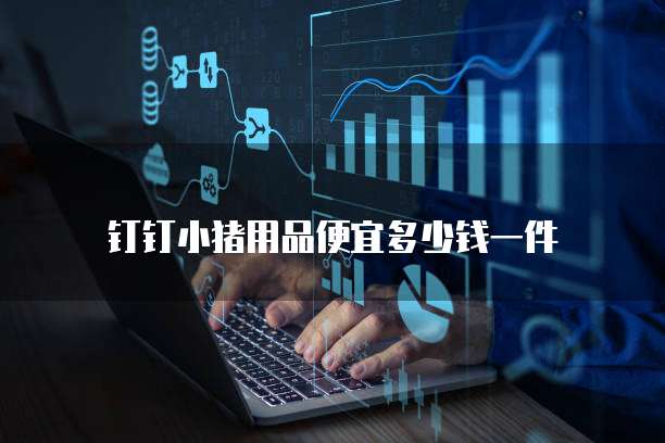 钉钉小猪用品便宜多少钱一件