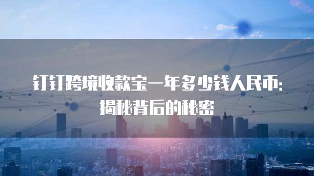 钉钉跨境收款宝一年多少钱人民币：揭秘背后的秘密