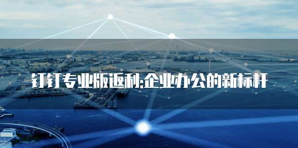 钉钉专业版返利:企业办公的新标杆
