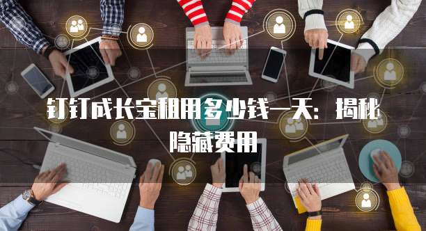 钉钉成长宝租用多少钱一天：揭秘隐藏费用