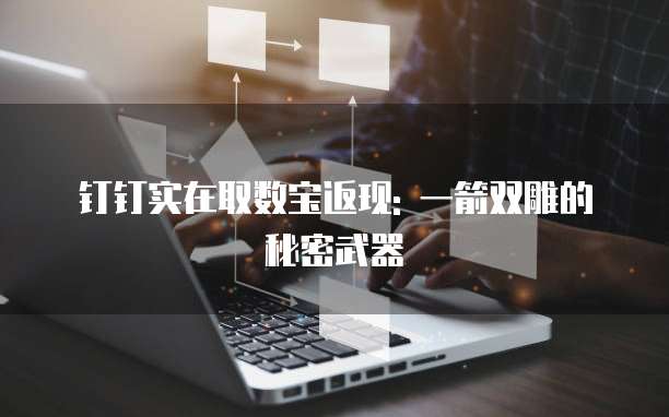 钉钉实在取数宝返现: 一箭双雕的秘密武器
