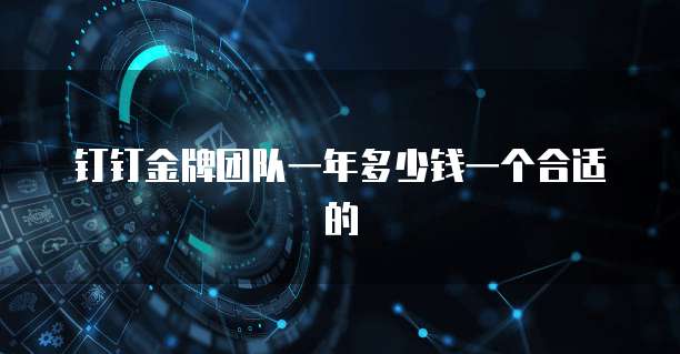 钉钉金牌团队一年多少钱一个合适的