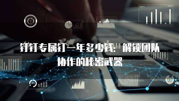 钉钉专属钉一年多少钱:解锁团队协作的秘密武器