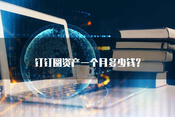 钉钉圆资产一个月多少钱?