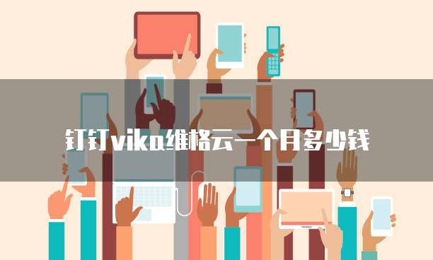 钉钉vika维格云一个月多少钱
