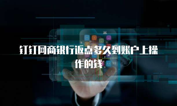 钉钉网商银行返点多久到账户上操作的钱