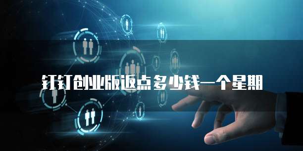 钉钉创业版返点多少钱一个星期