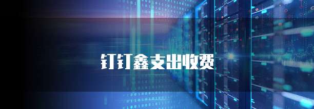 钉钉鑫支出收费