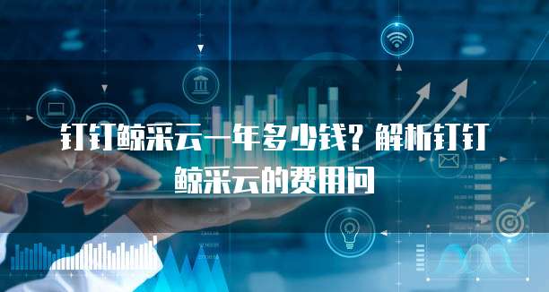 钉钉鲸采云一年多少钱？解析钉钉鲸采云的费用问