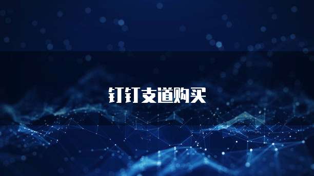 钉钉支道购买