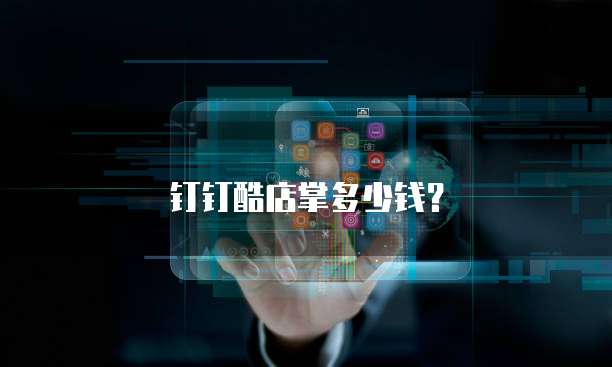 钉钉酷店掌多少钱？