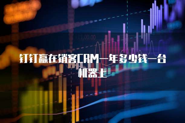 钉钉赢在销客crm一年多少钱一台机器上