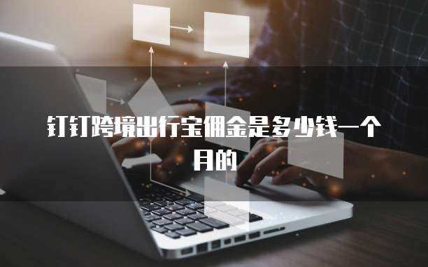 钉钉跨境出行宝佣金是多少钱一个月的