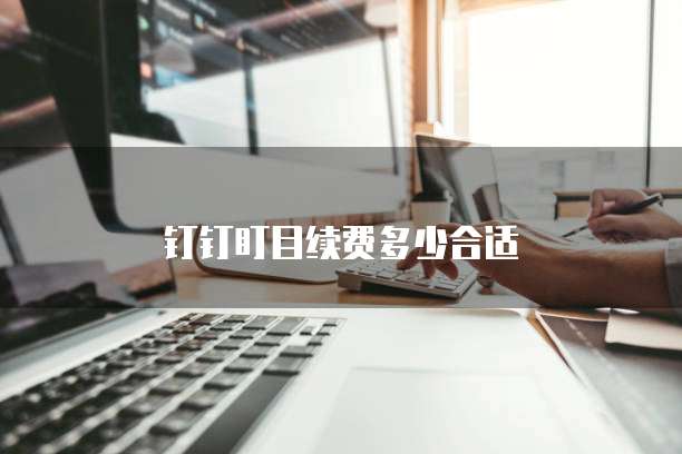 钉钉盯目续费多少合适