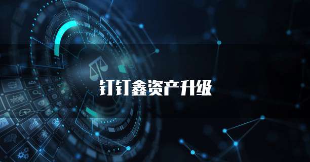 钉钉鑫资产升级