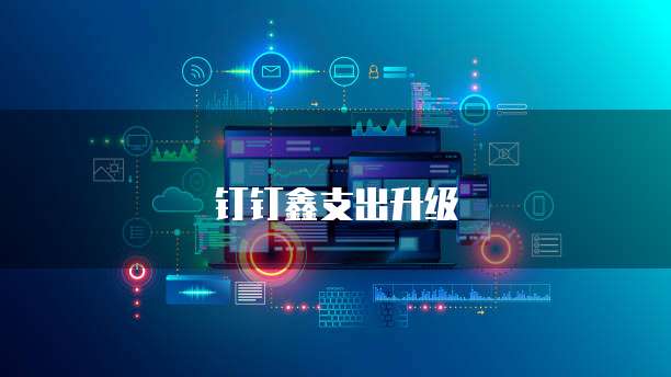 钉钉鑫支出升级