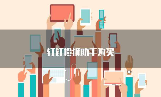 钉钉橙狮助手购买