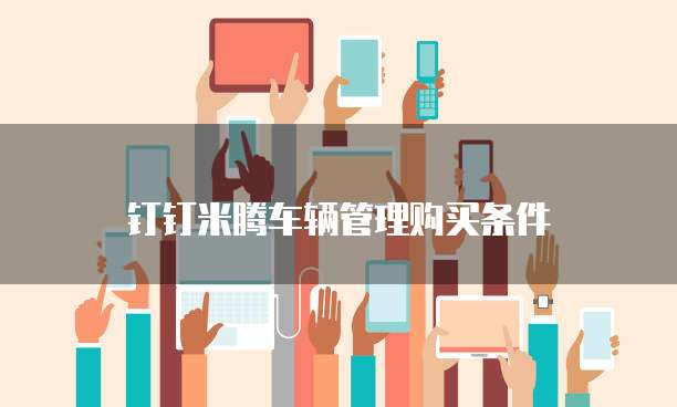 钉钉米腾车辆管理购买条件