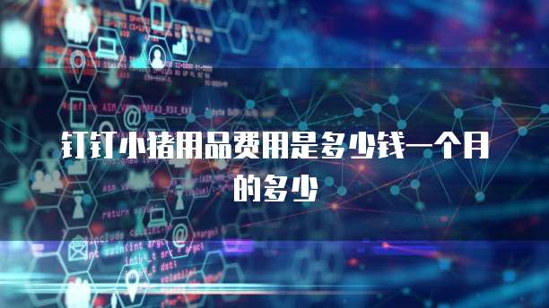 钉钉小猪用品费用是多少钱一个月的多少
