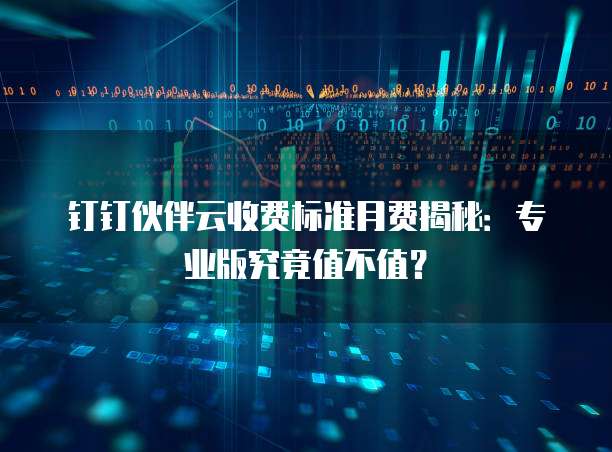 钉钉伙伴云收费标准月费揭秘:专业版究竟值不值?