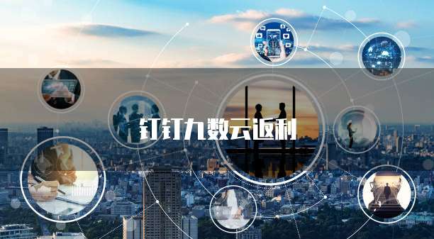 钉钉九数云返利