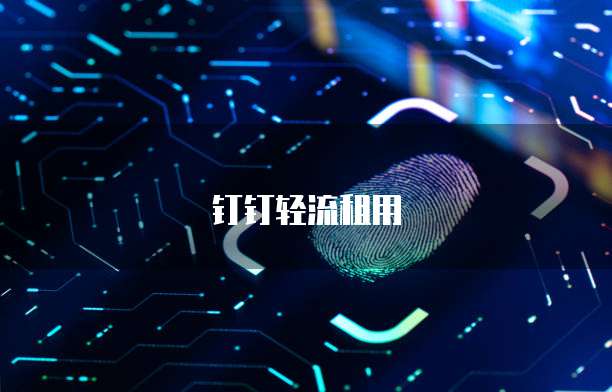 钉钉轻流租用