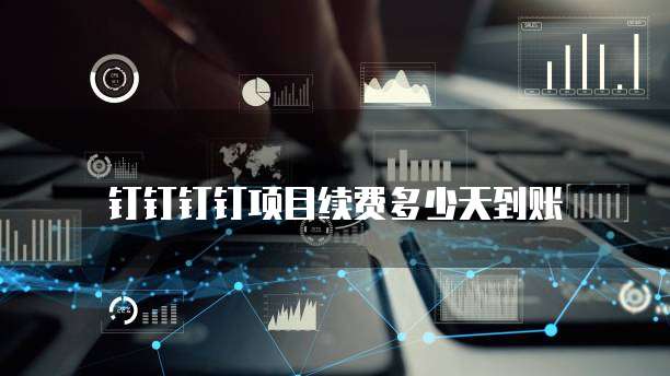 钉钉钉钉项目续费多少天到账