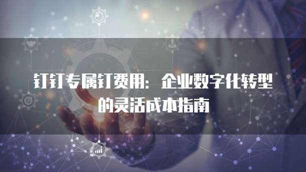 钉钉专属钉费用：企业数字化转型的灵活成本指南