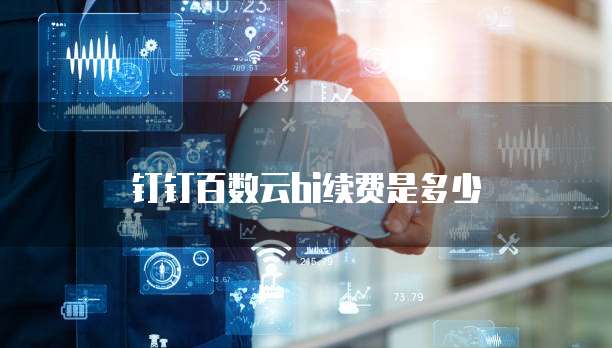 钉钉百数云bi续费是多少
