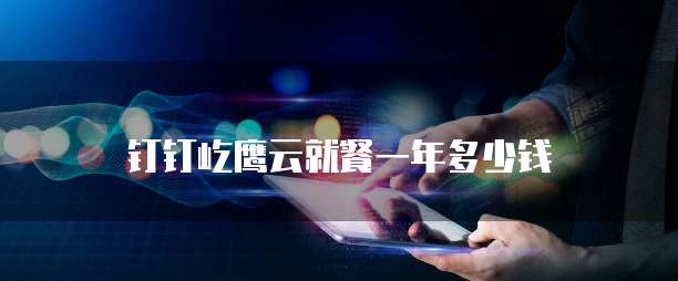 钉钉屹鹰云就餐一年多少钱