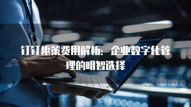 钉钉枢策费用解析：企业数字化管理的明智选择