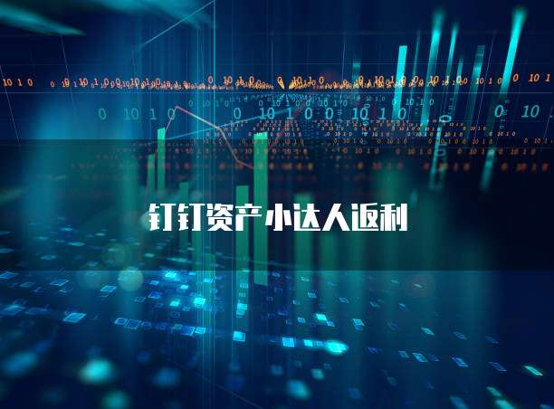 钉钉资产小达人返利