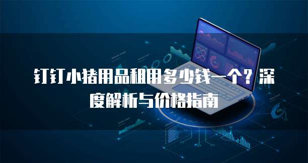 钉钉小猪用品租用多少钱一个？深度解析与价格指南